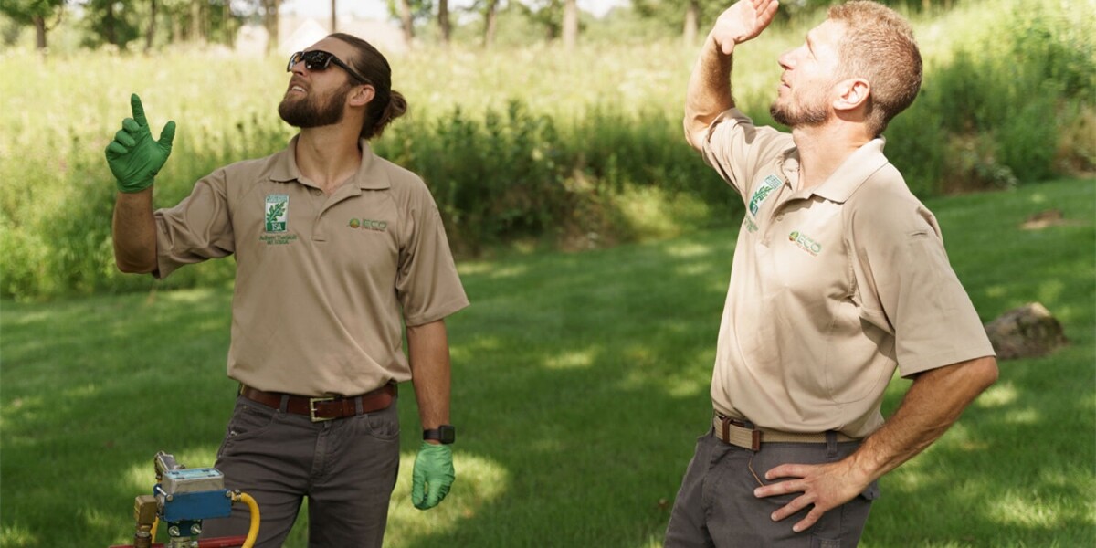 Eco_homescroll5 Two men in khaki shirts and gloves stand on grass, looking up at the trees. One holds an instrument on a rod while the other shades his eyes. Sunlight filters through the trees as they assess tree removal Madison or tree pruning Madison needs.