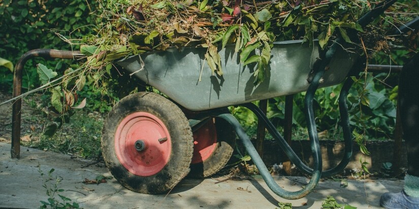 Spring & Fall Cleanup_eco tree A metal wheelbarrow with red wheels, filled with green and brown garden clippings from recent tree removal Madison projects, stands on a paved garden path surrounded by lush greenery.