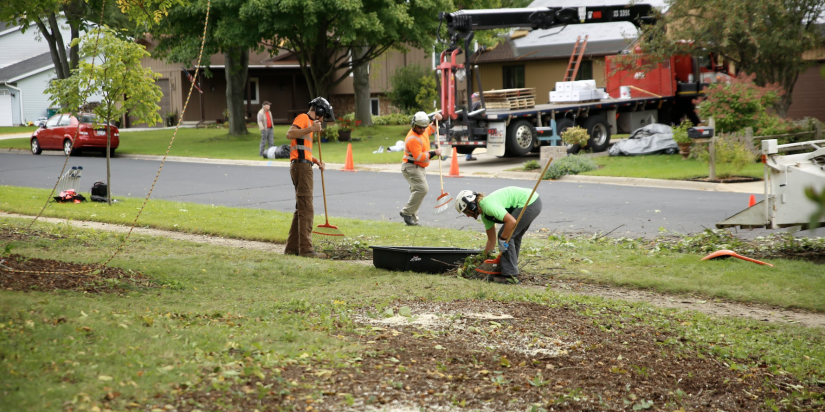 Tree care company raking leaves in Madison, WI